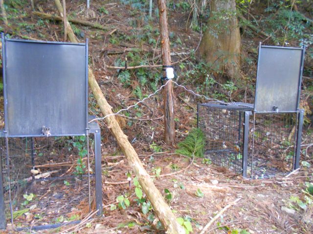 徳島県・那賀町様　有害鳥獣捕獲センサーを設置、運用開始 画像