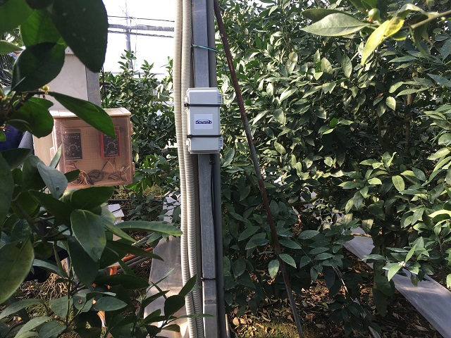 徳島県勝浦町・農業振興課様　農業施設温・湿度モニタリングシステムを導入致しました。 画像