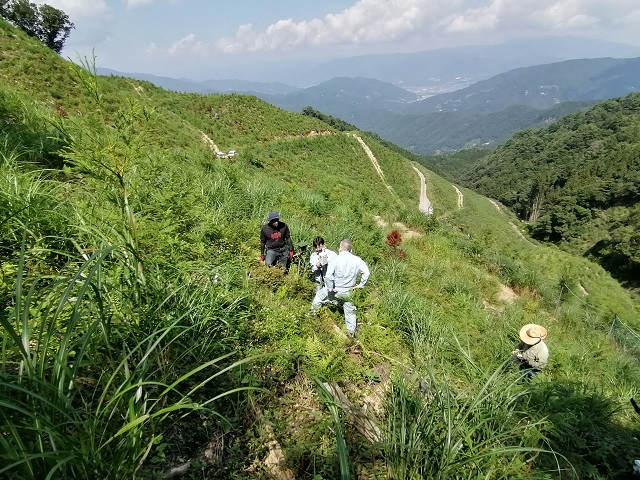 徳島県立農林水産総合技術センター様　IoT出没検知センサーを実装させて頂きました。 画像