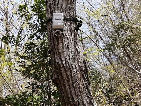 兵庫県・三田市・農村再生課様　カメラ搭載害獣監視センサー＆＜新＞害獣捕獲監視センサーを実装させて頂きました。 画像