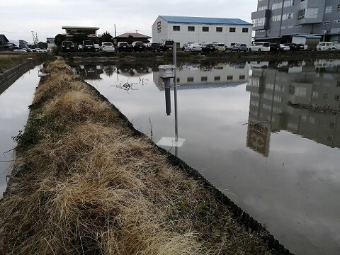 徳島県板野郡松茂町 松茂青果有限会社様　レンコン圃場に水位監視センサーを実装させて頂きました。 画像