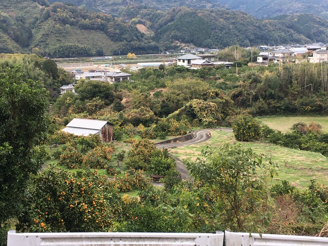 徳島県勝浦町・農業振興様 害獣捕獲監視センサー*76台が稼働中 画像